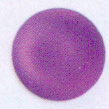 Muggel, 12mm, lila