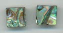 Paua Muschel, quadrat