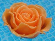 Schwimmkerze orange