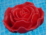 Schwimmkerze rot