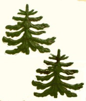 Tannenbaum, groß